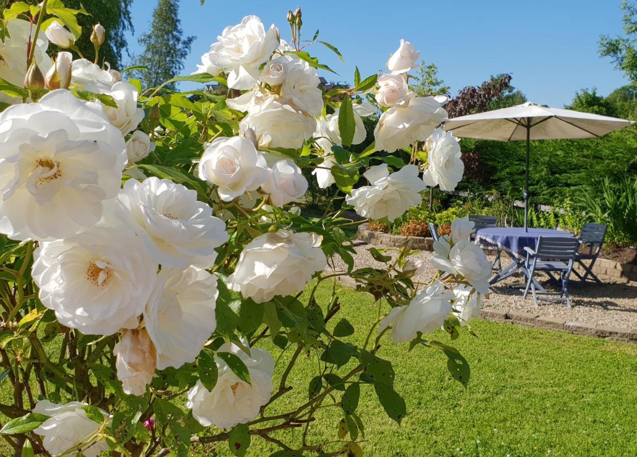 Cherville Bed & Breakfast คาวาน ภายนอก รูปภาพ